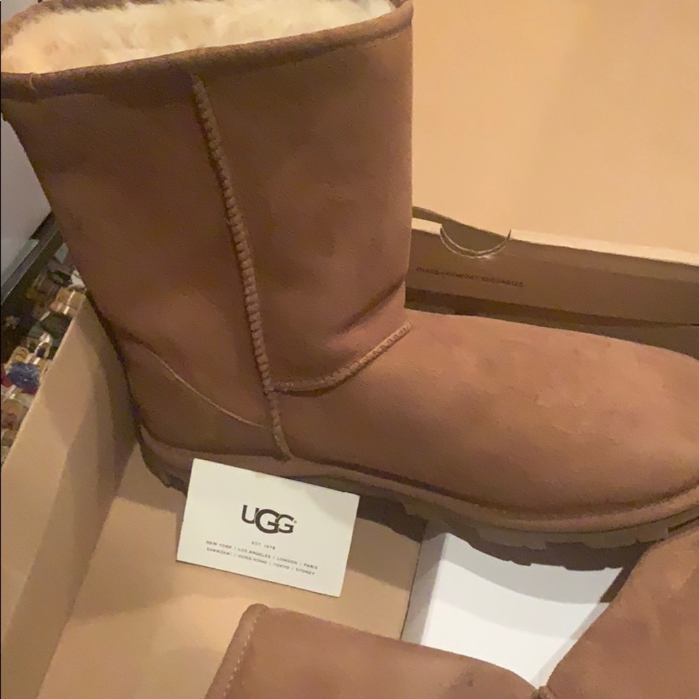 Brand new Uggs still in box!!!